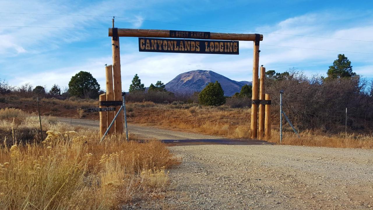 White Pine Cabin By Canyonlands Lodging Monticello Exterior foto